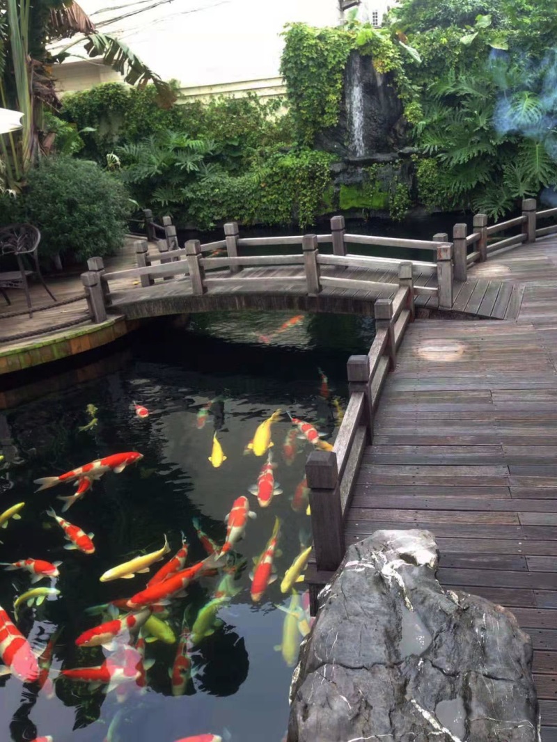 養魚池